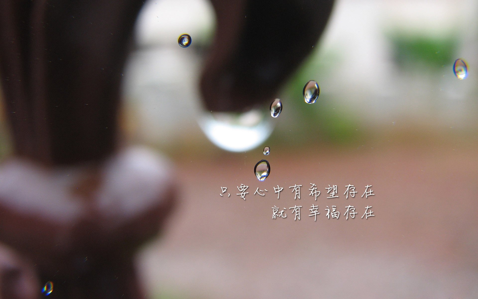 全国青少年蹦床锦标赛，童真与力量的完美结合，中国青少年蹦床训练教学大纲