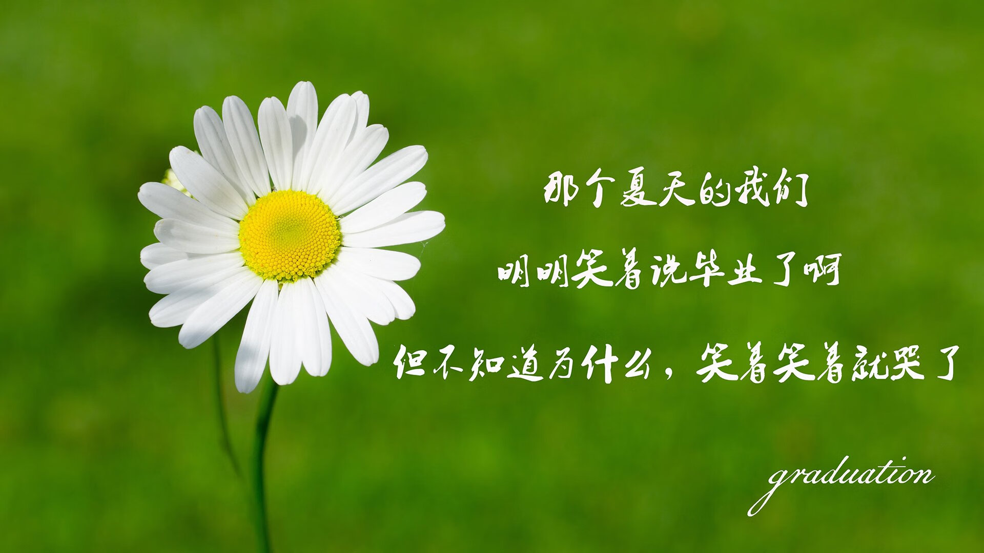 爱游戏在线登录入口-佩纳罗尔新援首秀亮眼，佩纳罗尔vs水晶体育