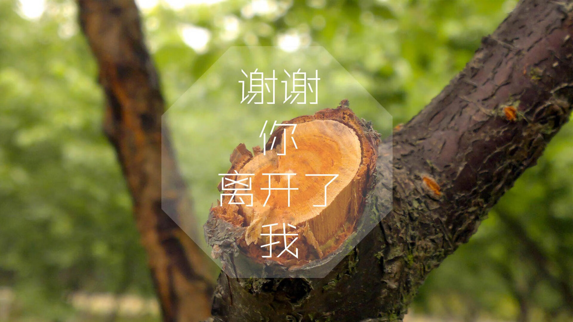 中超联赛边后卫助攻频率排行，中超助攻榜最新排名