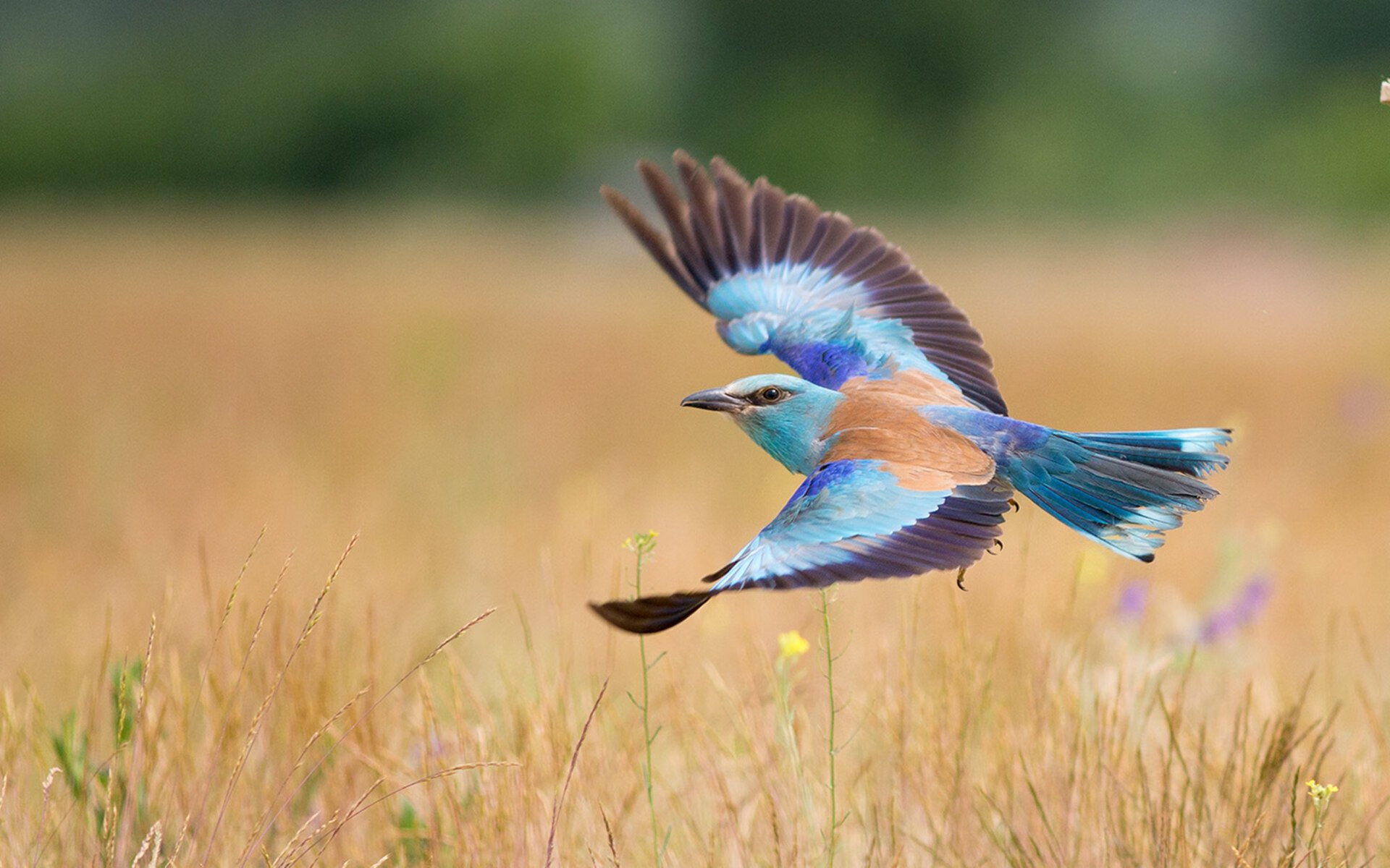 “非洲劲旅爆冷晋级,小组赛现黑马”