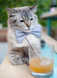 达里尔·基：凭借快速的反应和精准的防守，他总能成为球队反击的起点