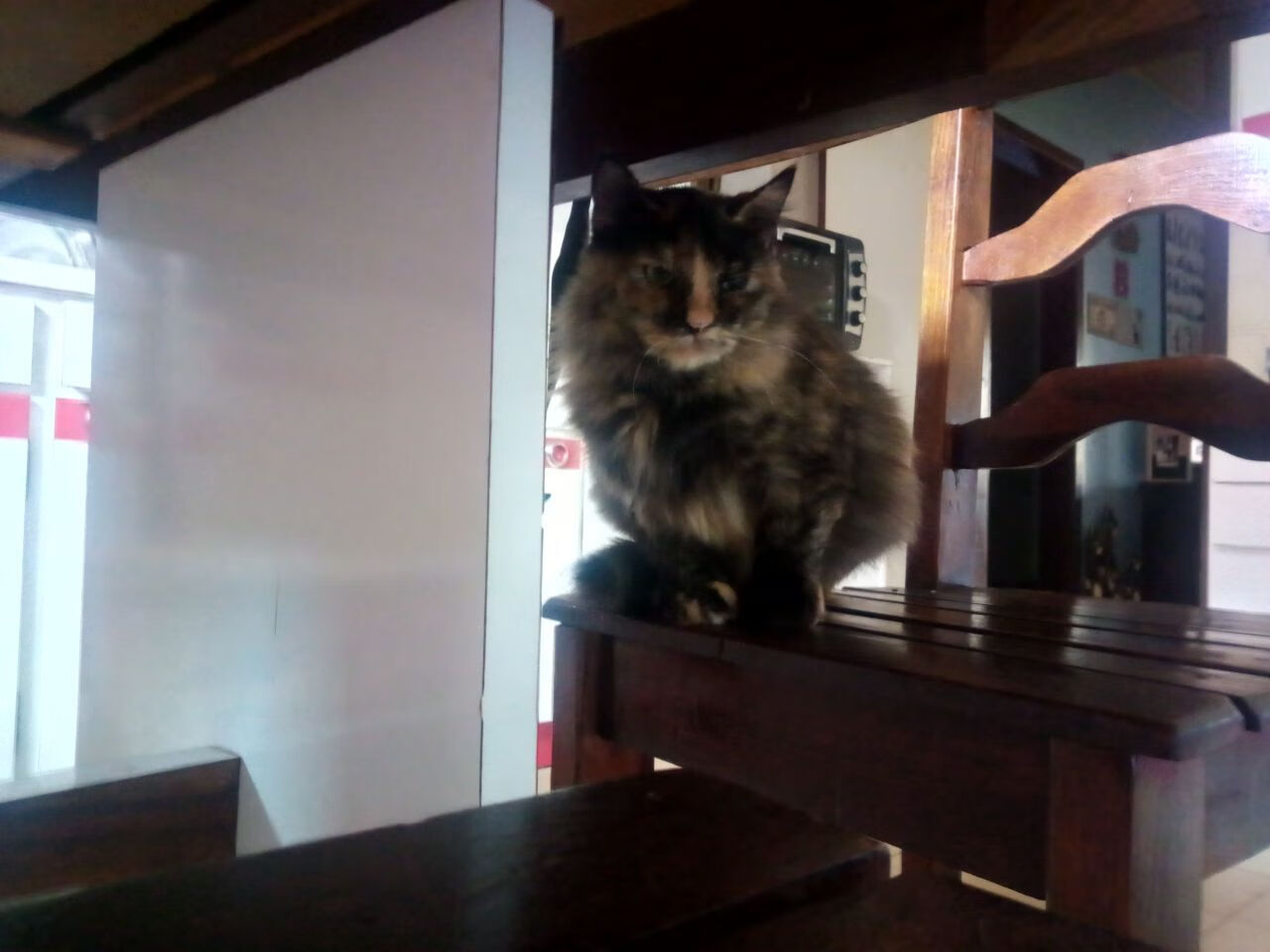 爱游戏体育（AYX）官方APP下载-加拿大游泳队转身动作优化趋势，加拿大游泳margaret